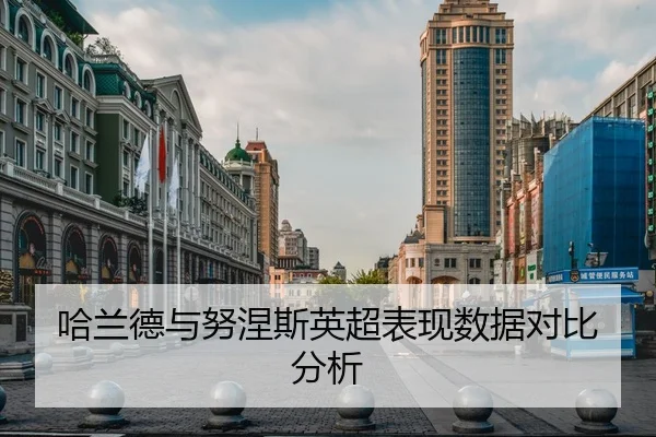 哈兰德与努涅斯英超表现数据对比分析